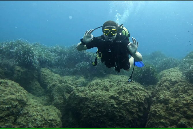 Discover SCUBA Diving with Pissouri Bay Divers - Why This Limassol SCUBA Experience Works For Beginners