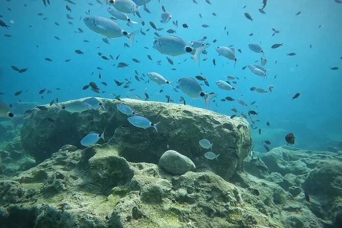 Discover SCUBA Diving with Pissouri Bay Divers - Shallow-Water Practice Before The Main Session