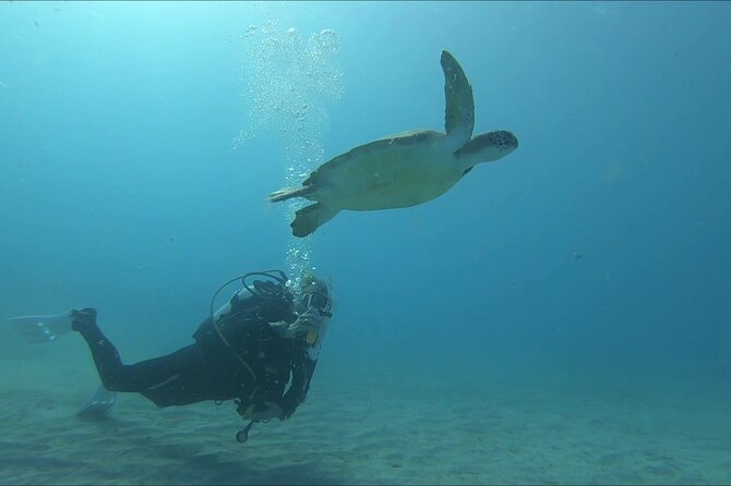 Discover SCUBA Diving with Pissouri Bay Divers - Is $145.18 Good Value?