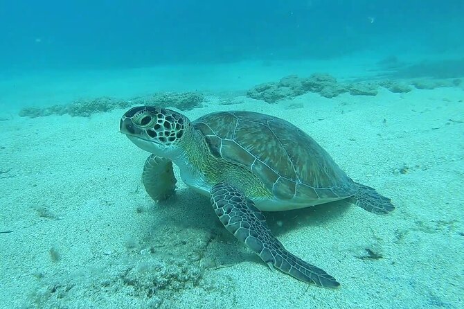 Discover SCUBA Diving with Pissouri Bay Divers - The First Hour: Paperwork, Theory, and Clear Expectations