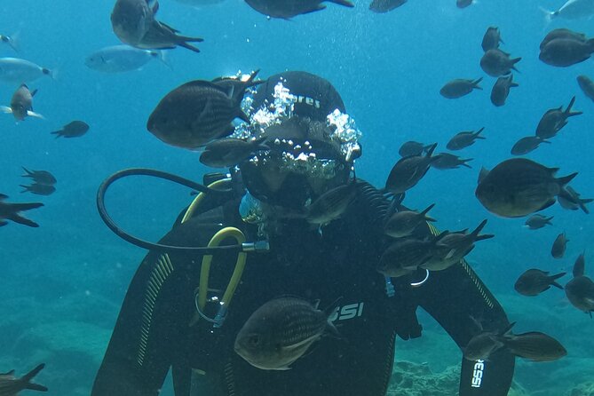 Dive The Rock (Scuba Diving Experience in Protaras) - Key points to know before you book