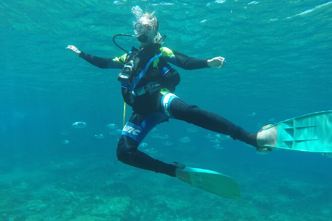 Dive The Rock (Scuba Diving Experience in Protaras) - Four hours, including transport time