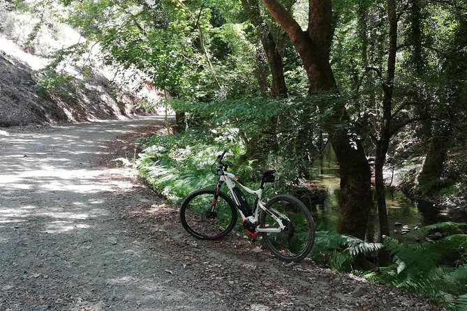 Explore Paphos forest with e-mountain bikes - The Return Ride to Tzelefos Bridge