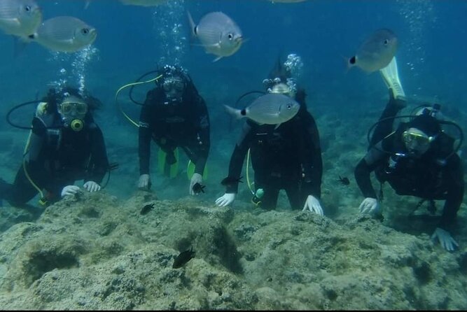 First Time Scuba Dive Adventure, Makronissos, Ayia Napa - Meeting Photis at Makronissos Beach