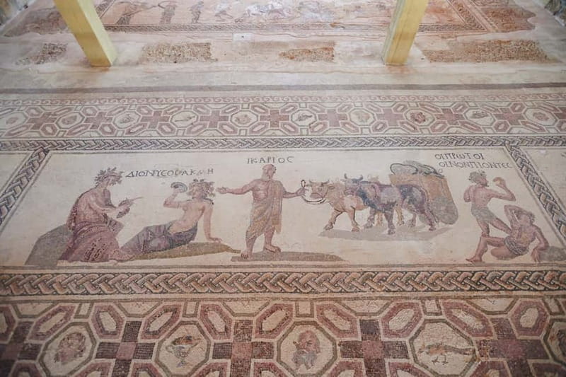 From Ayia Napa & Protaras: Kourion Tour and Paphos Town - Paphos harbor is your useful midday pause