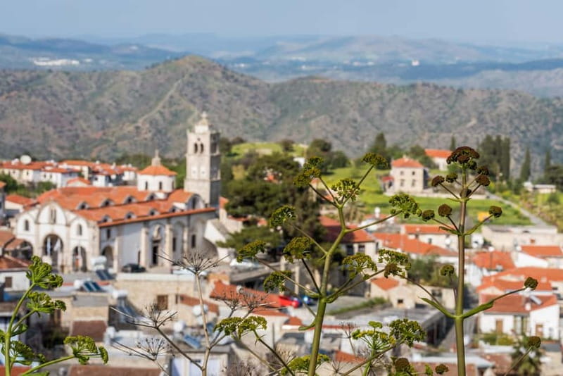 From Larnaca: Grand Tour Jeep Safari - Omodos and the final village walk