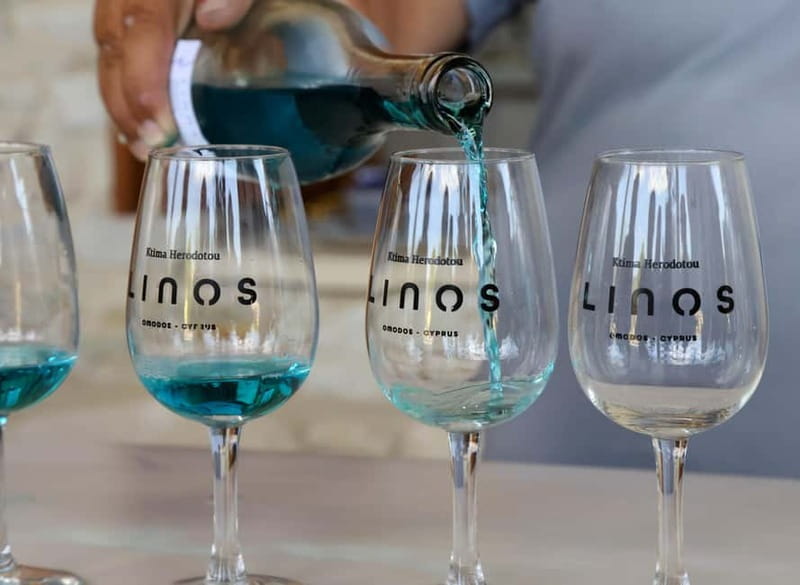 From Paphos: Akamas 4x4 Tour with Local Guide - Wine tasting in Stroumpi