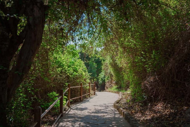 From Paphos: Blue Lagoon and Baths of Aphrodite Day Trip - The Baths of Aphrodite and the Fountain of Eternal Youth