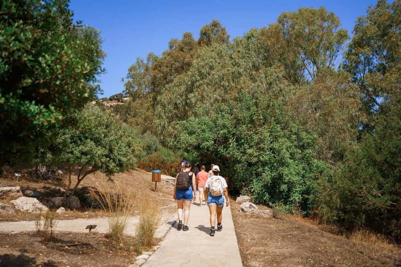 From Paphos: Blue Lagoon and Baths of Aphrodite Day Trip - The Edro III shipwreck and sea caves