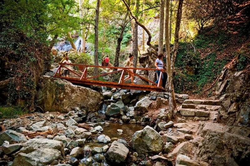 From Paphos: Caledonia Waterfalls Walking Tour with Lunch - Why this mountain day works from Paphos