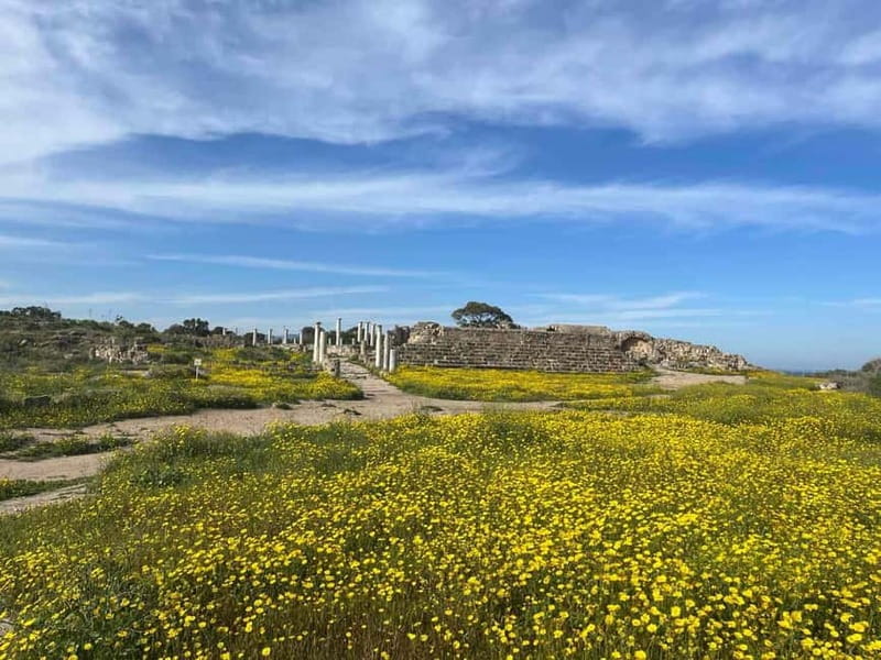 From Paphos: Famagusta, Salamis, and Varosha Walking Tour - Why this northern Cyprus day trip matters
