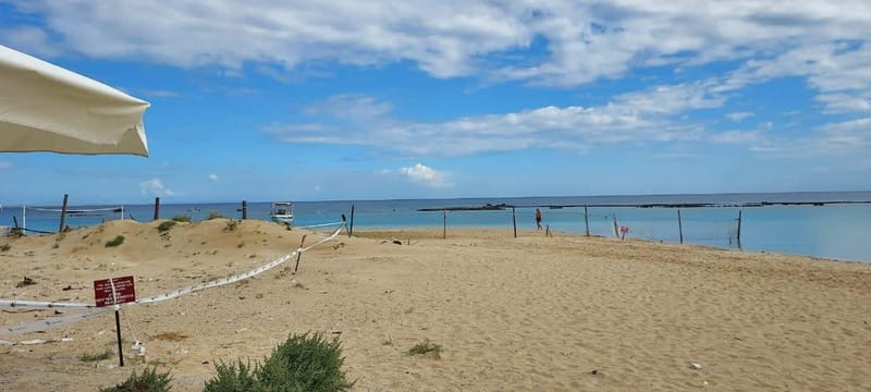 From Paphos: Famagusta, Salamis, and Varosha Walking Tour - Walking the shoreline ruins of ancient Salamis