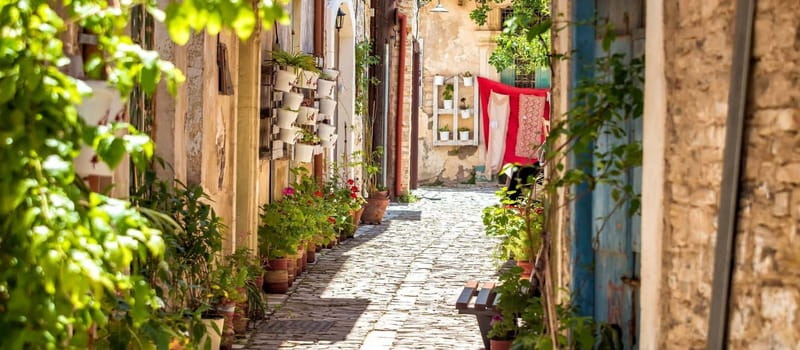 FROM PAPHOS: Island Roundtrip (Lefkara, Nicosia, Larnaca) - The Coach, Guides, and Language Setup