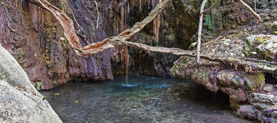 From Paphos or Limassol: Akamas National Park Jeep Safari - Remote views, gorges, and rocky coves