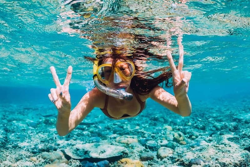 FROM PAPHOS: Snorkeling at the Marine Park (shore) - Key points to know before booking