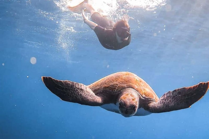 FROM PAPHOS: Snorkeling at the Marine Park (shore) - Meeting at Cydive and getting ready