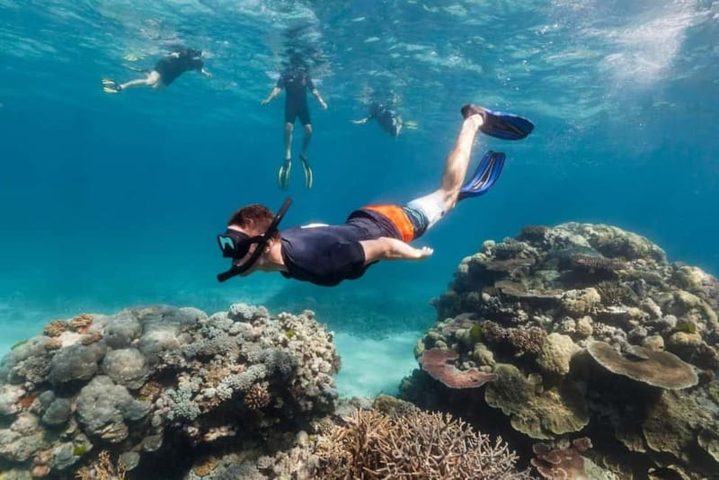 FROM PAPHOS: Snorkeling at the Marine Park (shore) - The two-hour route and what it feels like