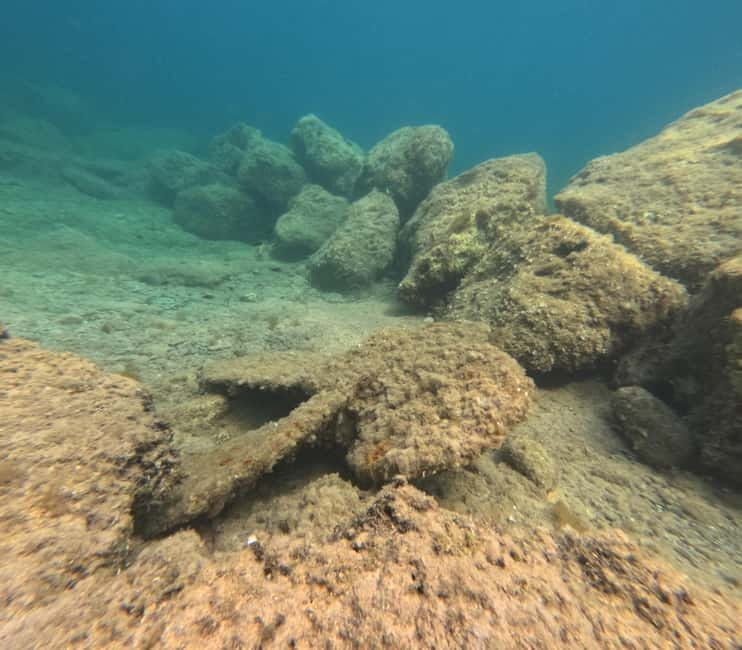 FROM PAPHOS: Snorkeling at the Marine Park (shore) - The $53 price: fair value or not?