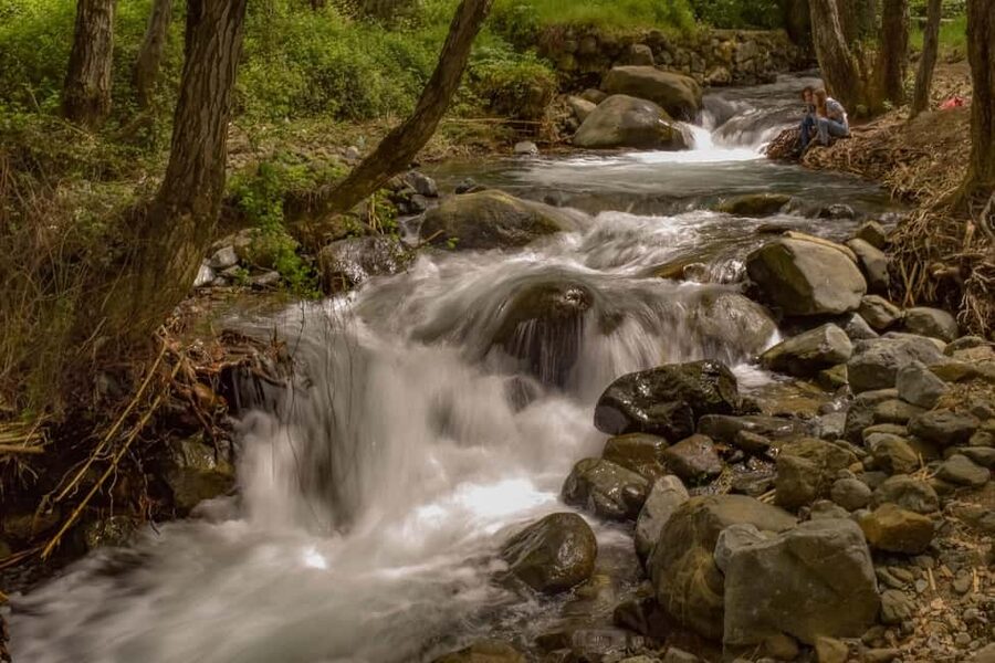 From Paphos: Troodos Jeep Safari - Key points before you book