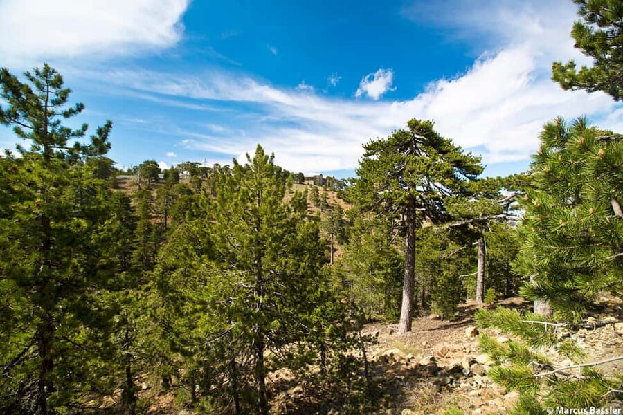 From Paphos: Troodos Jeep Safari - Asprokremmos Reservoir and the first wide views