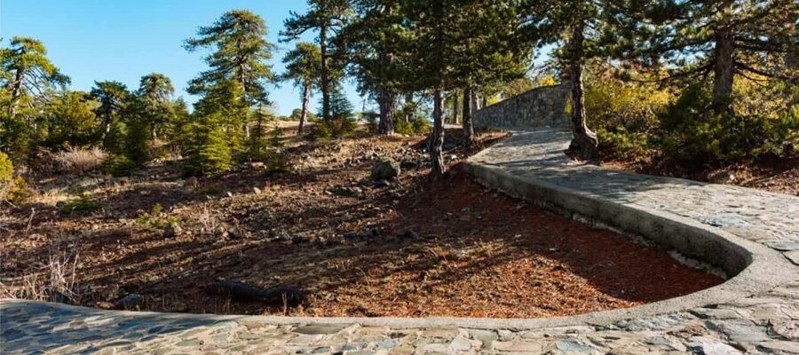 From Paphos: Troodos Jeep Safari - Omodos, wine, and a final taste of village Cyprus