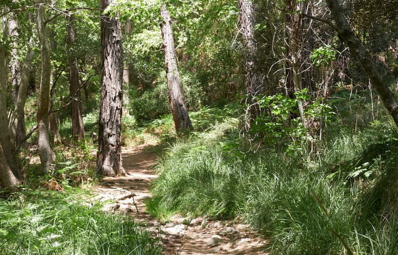 From Protaras: Full-Day Grand tour Jeep Safari with Lunch - Dipotamos Reservoir and the first mountain views