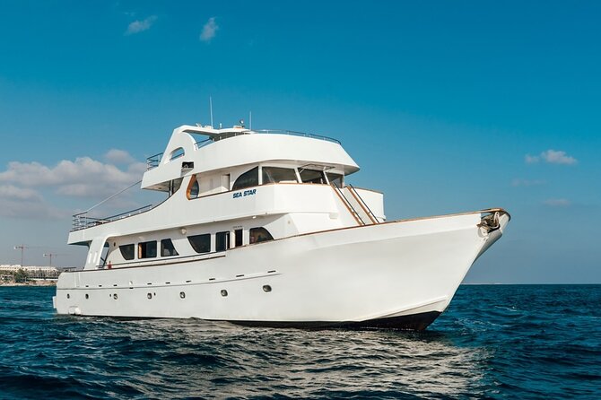 Full Day Blue Lagoon Cruise (Paphos to Latchi) - Sea Star - Service that keeps the day moving