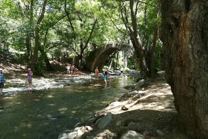 Full Day Troodos Guided Safari Tour with Pick Up - The dam viewpoint and Troodos Forest