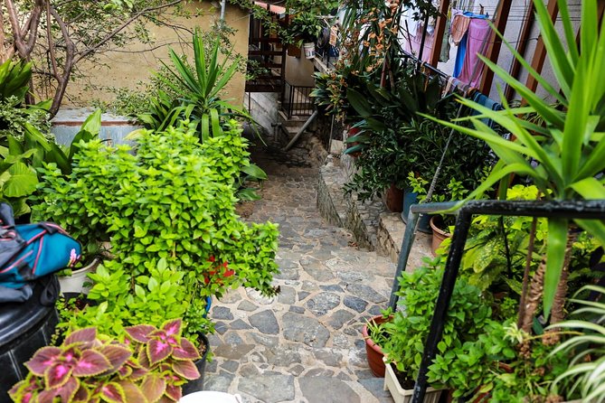 Gourmet Cyprus Tour – Local Flavors & Wine from Paphos - Why this day trip works from Paphos