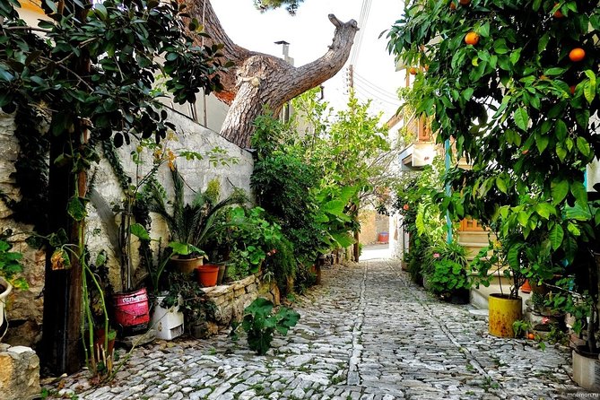 Gourmet Cyprus Tour – Local Flavors & Wine from Paphos - Handmade jams offer a taste of old family recipes