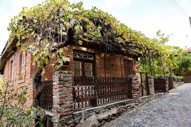 Gourmet Cyprus Tour – Local Flavors & Wine from Paphos - The Troodos Mountains provide the main lunch break