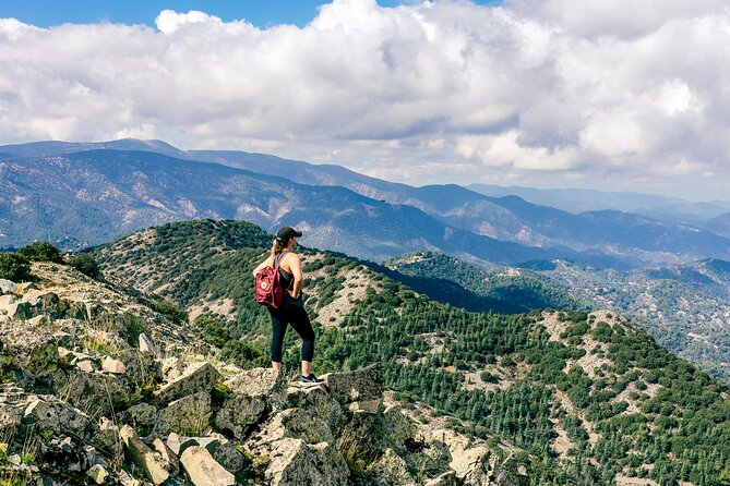 Grand Tour Full Day Jeep Safari from Larnaka - Mesa Potamos Waterfalls adds a short forest walk