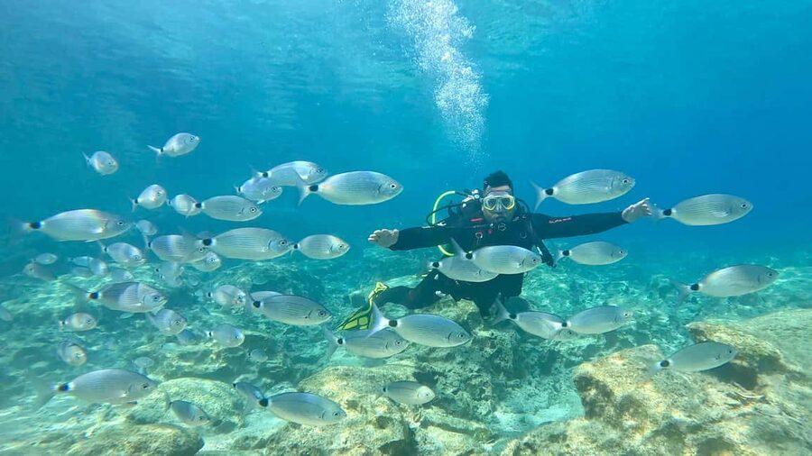 Green Bay Cyprus - Scuba diving - Guided Dive or Try Dive - Key points at a glance