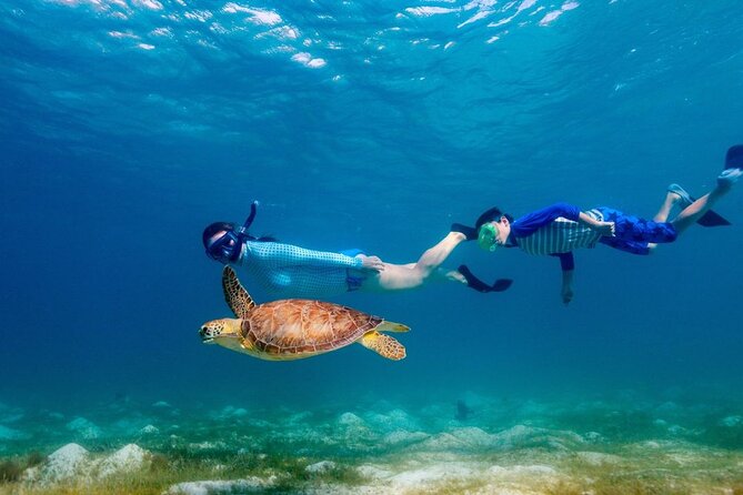 Guided snorkeling trip to the turtles in Protaras - Wildlife etiquette matters at Green Bay Beach