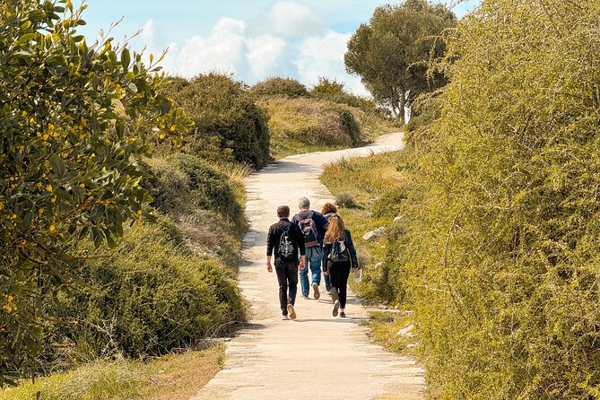 Guided Tour of Limassol with Kourion and Kolossi Castle - Kourion: the reason to save your energy