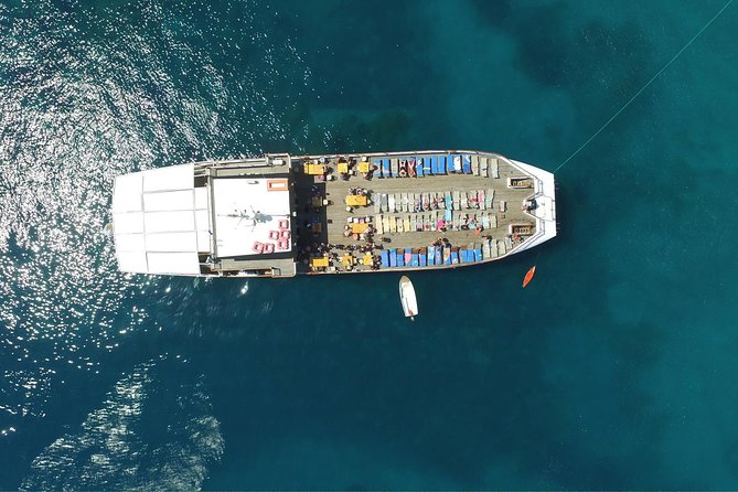 Half Day BBQ Lunch Cruise from Paphos - Setting out from Paphos Harbour at 9:20 a.m.