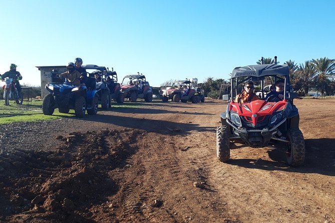 Half-Day Buggy Safari to Akamas Peninsula with Lunch - Driving into Akamas National Forest Park
