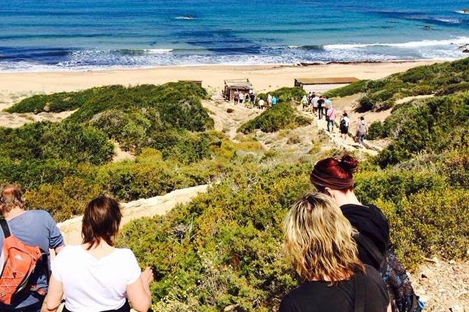 Half day Safari Tour to Akamas Peninsula from Paphos - Leaving Paphos for the Akamas coast
