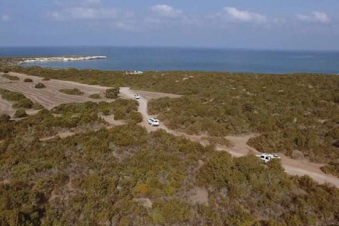 Half day Safari Tour to Akamas Peninsula from Paphos - What makes Avakas worth the effort