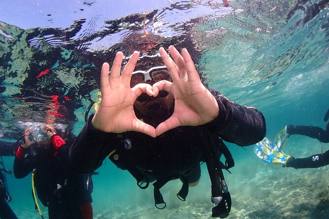 Half-Day Scuba Diving Tour - Discover Scuba Diving! - What the $100.37 price gets you in Paphos