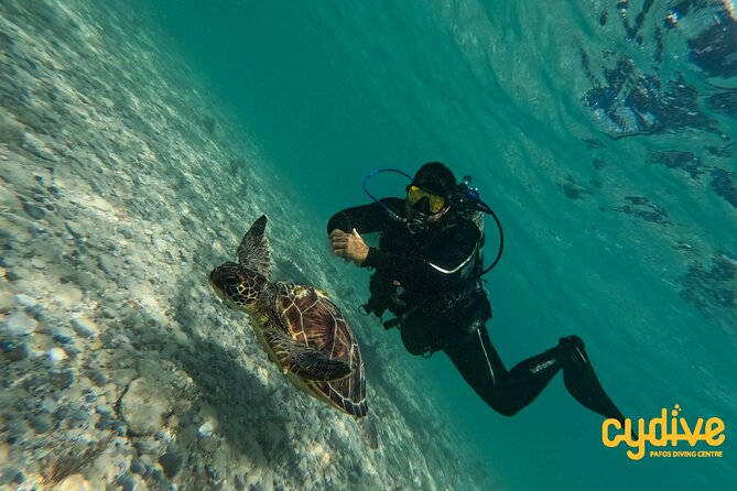 Half-Day Scuba Diving Tour - Discover Scuba Diving! - The briefing: learning the basics before entering water
