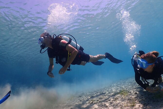 Introductory diving in small groups - The Instructors Make the Biggest Difference