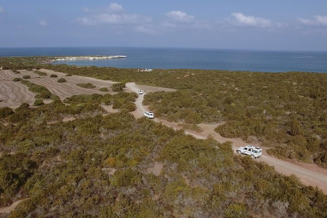 Jeep Safari Akamas from Paphos - Quick points before you book
