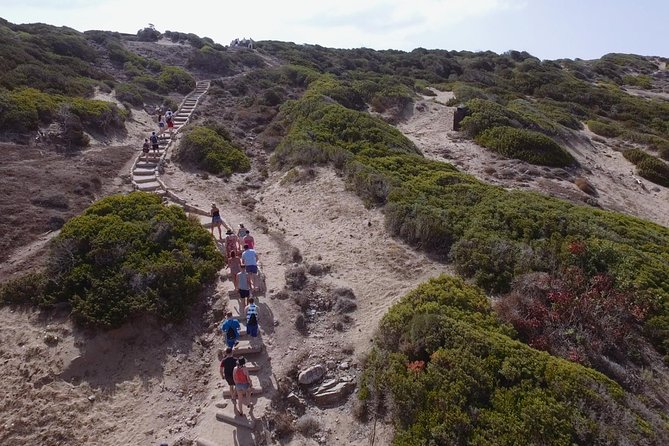 Jeep Safari Akamas from Paphos - The Akamas viewpoint on the full-day route