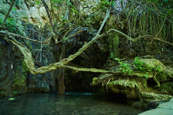 Jeep Safari Akamas from Paphos - Baths of Aphrodite: myth, setting, and modest expectations