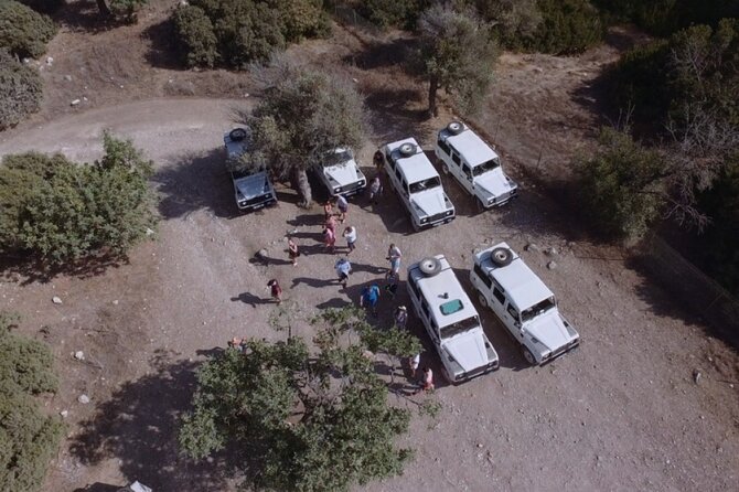 Jeep Safari Akamas from Paphos - Who should book, and who should think twice?