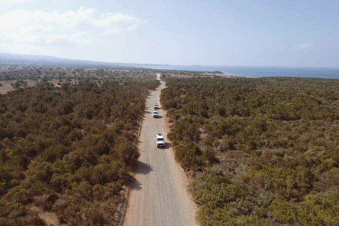 Jeep Safari Akamas from Paphos - Avakas Gorge: the day’s strongest natural stop