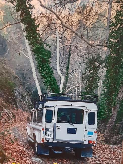 Jeep safari in French, English to Akamas, Gorge, Donkey Farm - From Paphos bananas to the first coastal views