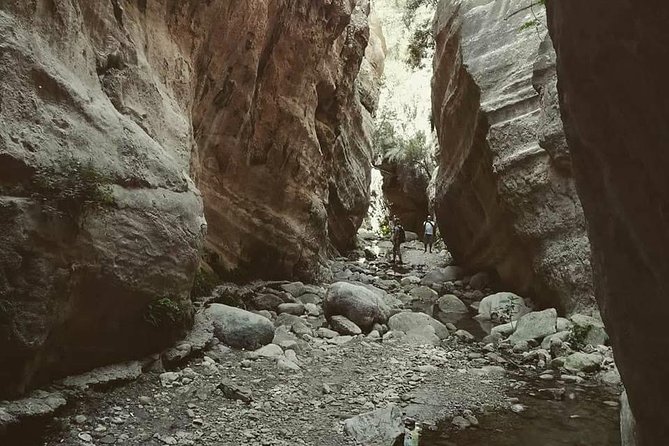 Jeep Safari to Akamas National Park: Avakas Gorge Tour from Paphos - Lara Bay: turtles and a nearly empty beach