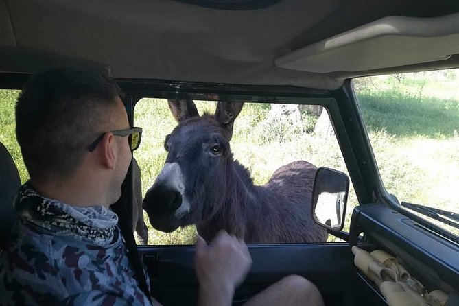 Jeep Safari to Akamas National Park: Avakas Gorge Tour from Paphos - Latchi: lunch with time to slow down